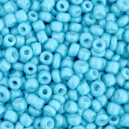 Seed beads 8/0 (3mm) Light blue